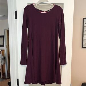 Express Long Sleeve Dress in Dark Purple